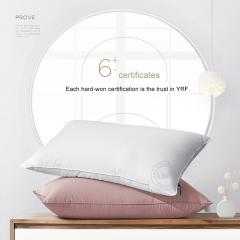 Luxury Standard Size Soft feather pillow