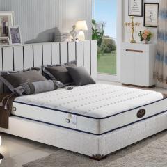 Luxury Resort Hotel Queen Mattress